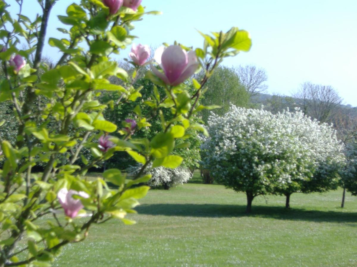 Gites Du Manoir De Goandour 크로종 외부 사진